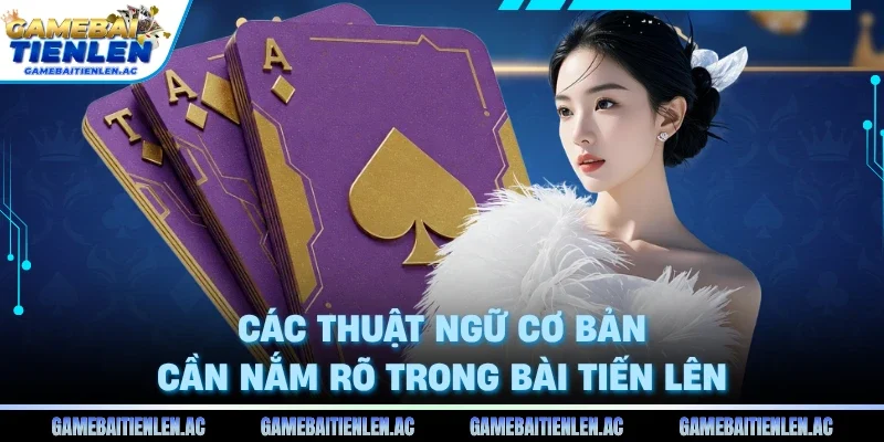 Các thuật ngữ cơ bản cần nắm rõ trong bài tiến lên